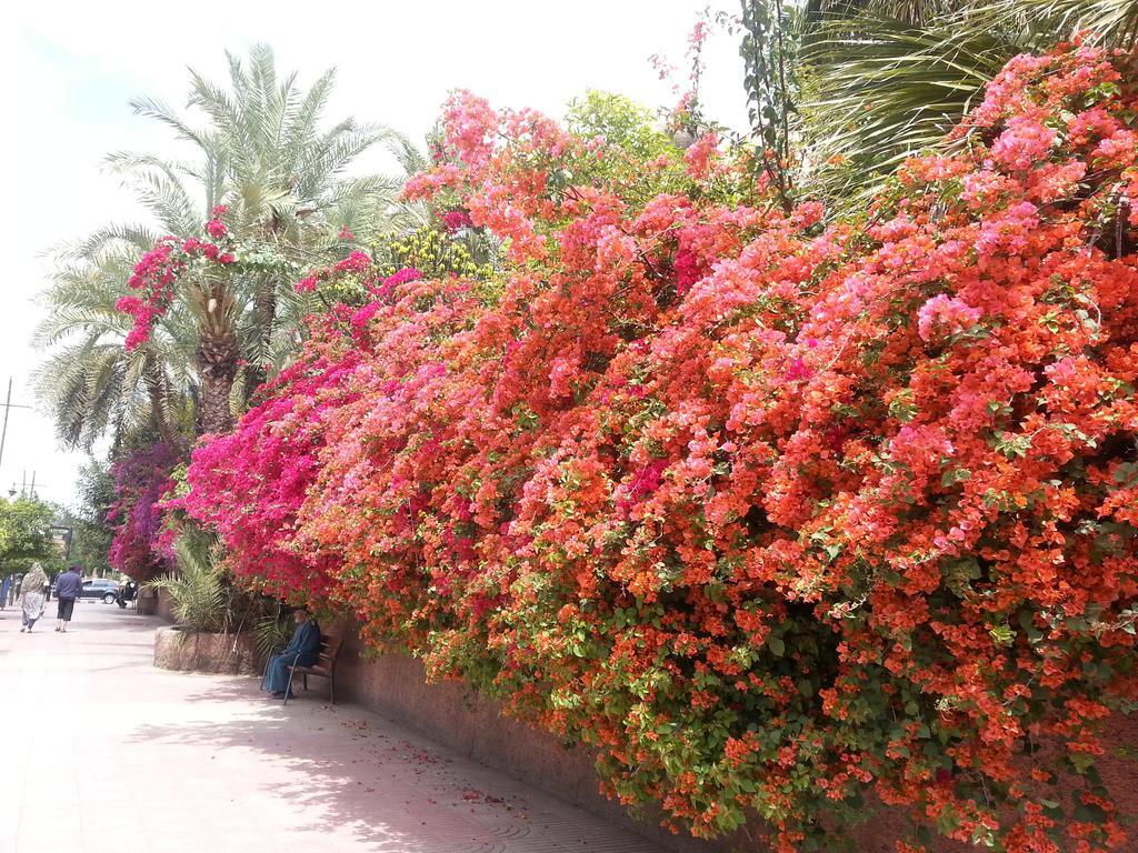 Riad Des Etoiles Марракеш Экстерьер фото